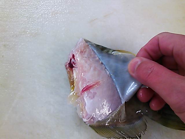 カワハギ 皮 剥き方 簡単 魚の美味しいさばき方