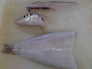 鱚の開き方 簡単 魚の美味しいさばき方 鱚の開き方 簡単 魚の美味しいさばき方