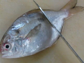 シズのウロコの落とし方 簡単 魚の美味しいさばき方 シズのウロコの落とし方 簡単 魚の美味しいさばき方