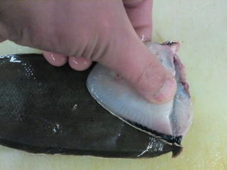 舌平目 シタビラメ 皮の剥き方 簡単 魚の美味しいさばき方