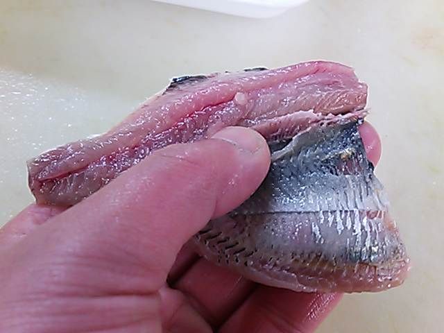 イワシ 皮 剥き方 簡単 魚の美味しいさばき方