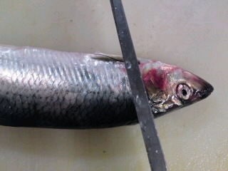 鰊 ニシン の切り方 煮付け 簡単 魚の美味しいさばき方 鰊 ニシン の切り方 煮付け 簡単 魚の美味しいさばき方