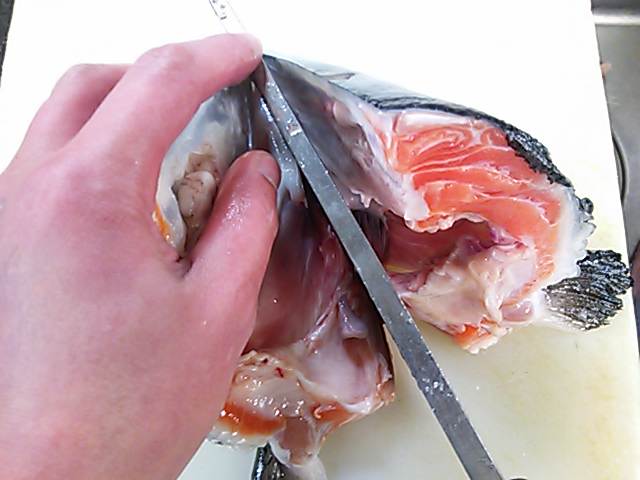 鮭 さけ サーモンのアラの割り方 切り方 簡単 魚の美味しいさばき方