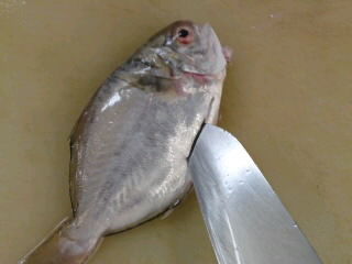 シズ イボダイ ウオゼのおろし方 塩焼き 煮付け用 簡単 魚の美味しいさばき方 シズ イボダイ ウオゼのおろし方 塩焼き 煮付け用 簡単 魚の美味しいさばき方