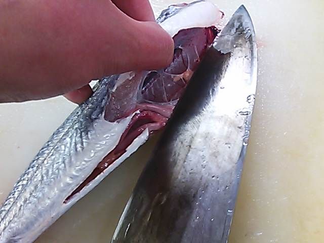 トビウオ おろし方 さばき方 三枚おろし 簡単 魚の美味しいさばき方