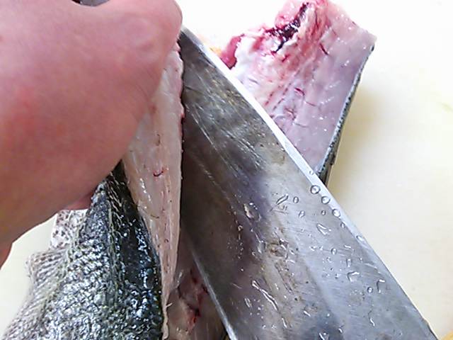 スズキ おろし方 さばき方 三枚おろし 簡単 魚の美味しいさばき方