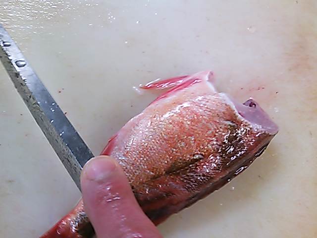 鮴 めばる 煮付け 切り方 簡単 魚の美味しいさばき方 鮴 めばる 煮付け 切り方 簡単 魚の美味しいさばき方