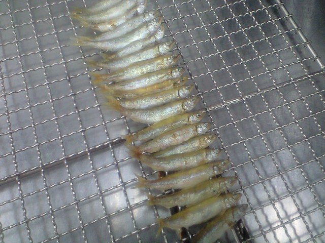 小糸アユのいかだ串焼き とある料理人 弁当屋 の独り言