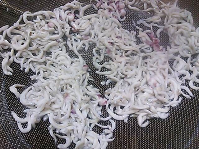 生シラス 釜揚げ 作り方 とある料理人 弁当屋 の独り言