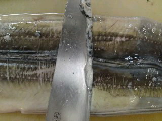 穴子 あなご の下処理 簡単 魚の美味しいさばき方 穴子 あなご の下処理 簡単 魚の美味しいさばき方