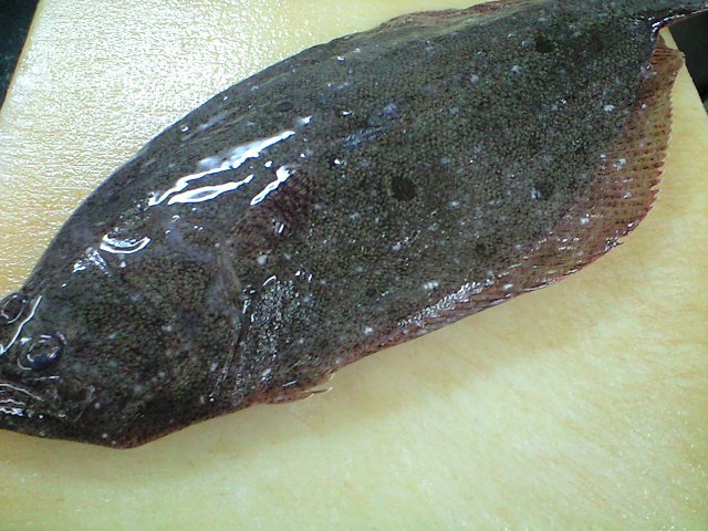 とある料理人（弁当屋）の独り言？ : 渾身のフィレオフィッシュ