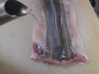 穴子 あなご の下処理 簡単 魚の美味しいさばき方 穴子 あなご の下処理 簡単 魚の美味しいさばき方