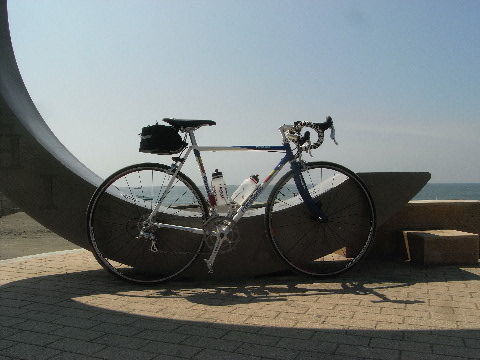 ������ӡ���