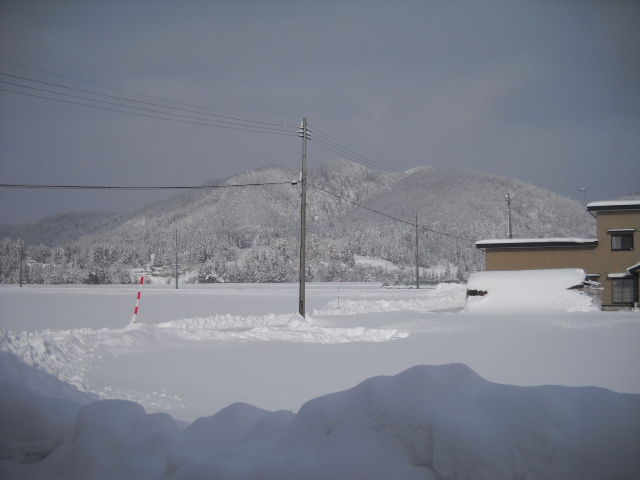 DSCN5528
