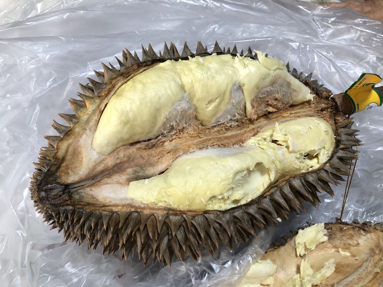 農園情報 ドリアン 大内設備工業所のblog 農園情報 ドリアン 大内設備工業所のblog