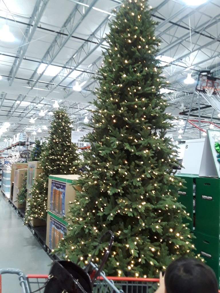 アメリカコストコ パイの実を発見 アラフォー派遣お母さんのごきげんな日々