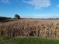 20181010_091434