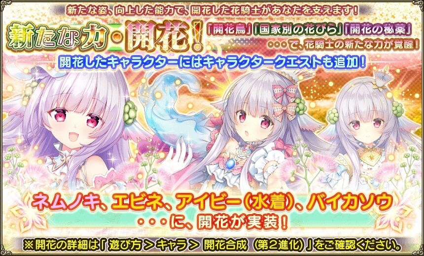 バイカソウ フラワーナイトガールプレイ日記 バイカソウ フラワーナイトガールプレイ日記