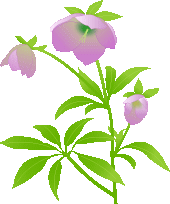 今日の絵手紙 梅の花 沈丁花 さちこルーム2238 今日の絵手紙 梅の花 沈丁花 さちこルーム2238