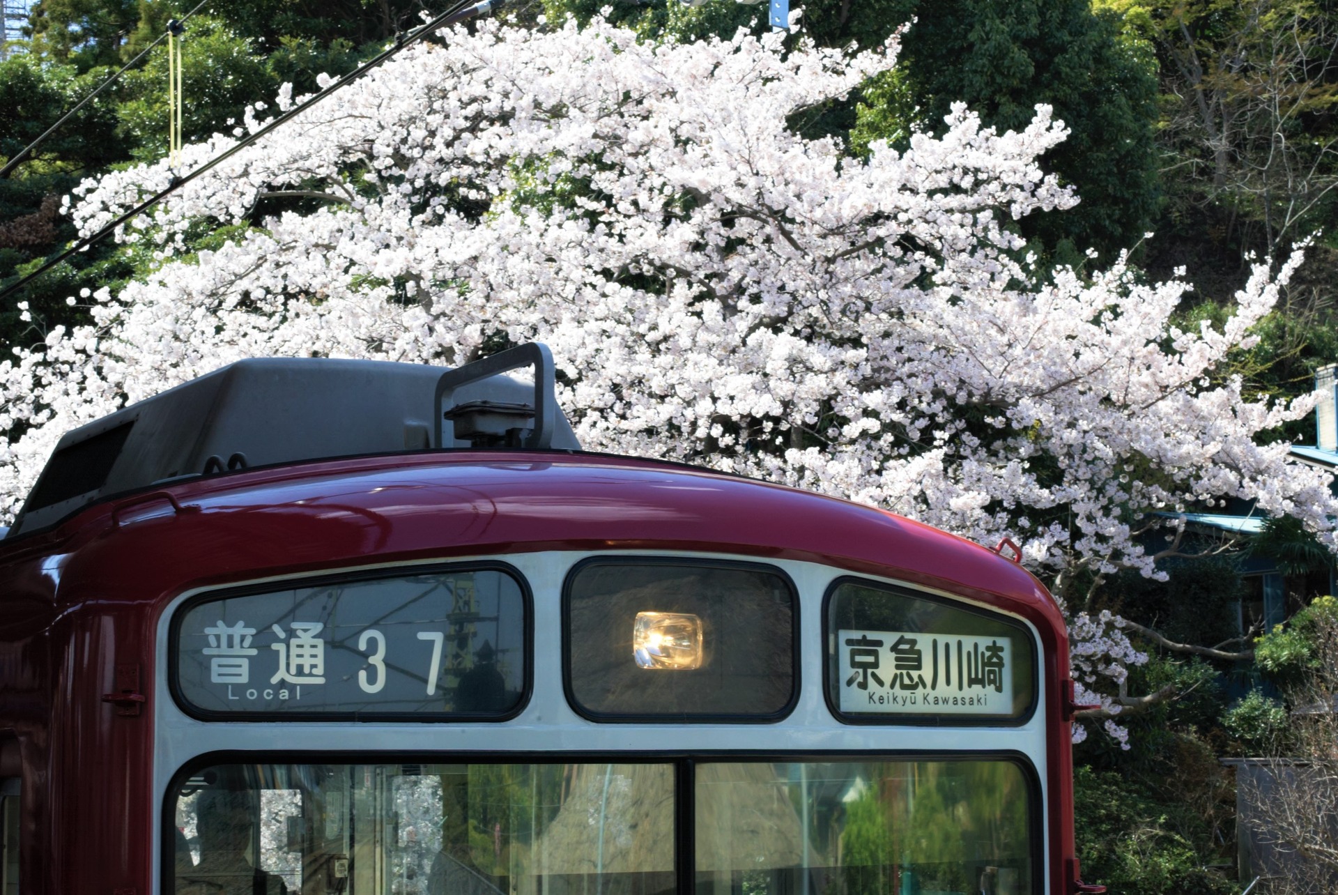 C9DA1480 (2)