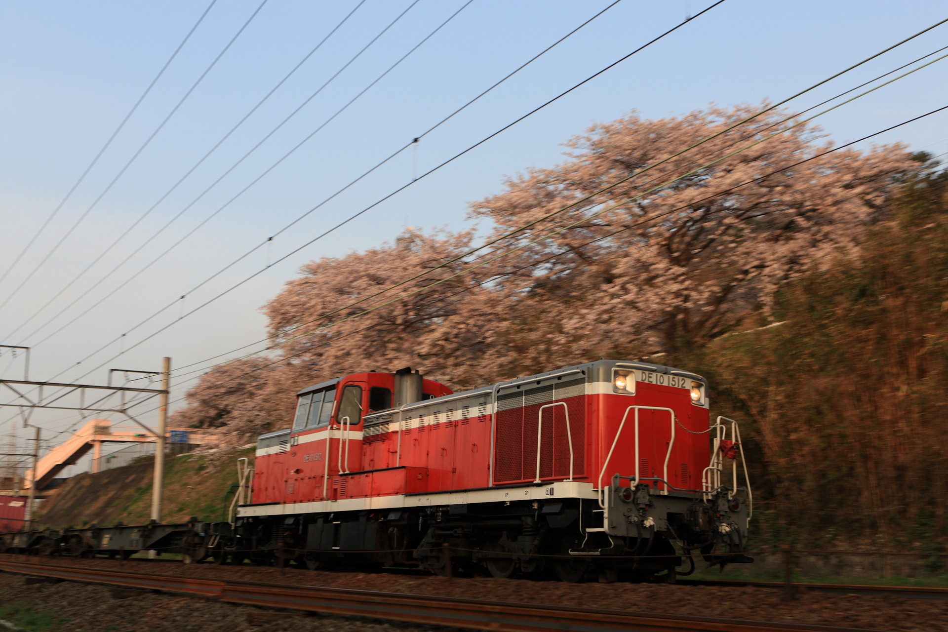 PN1H8538