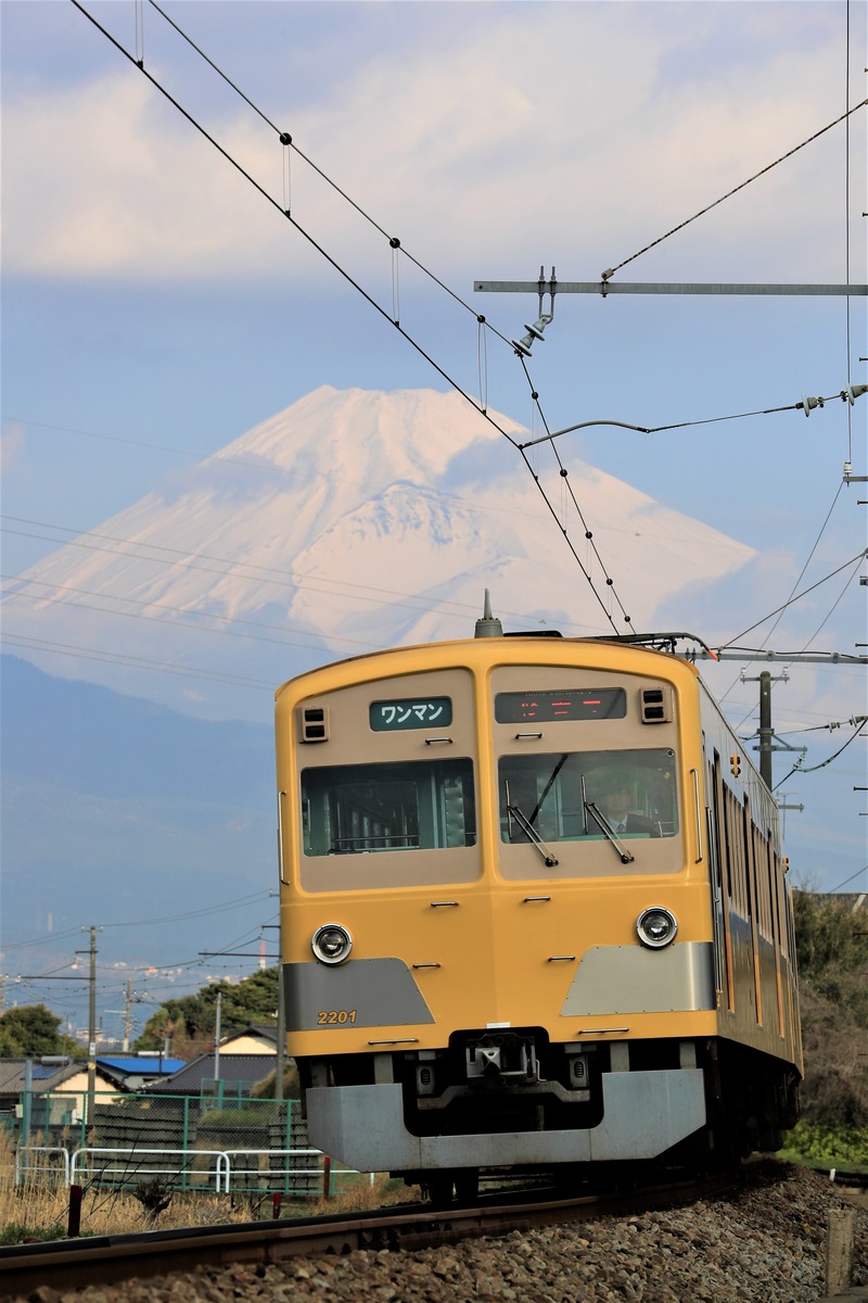 _S3I8298 (2)