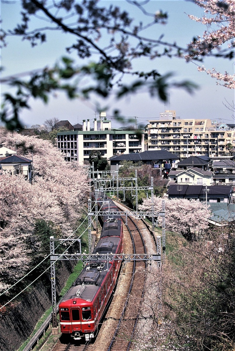 099-015 (2)
