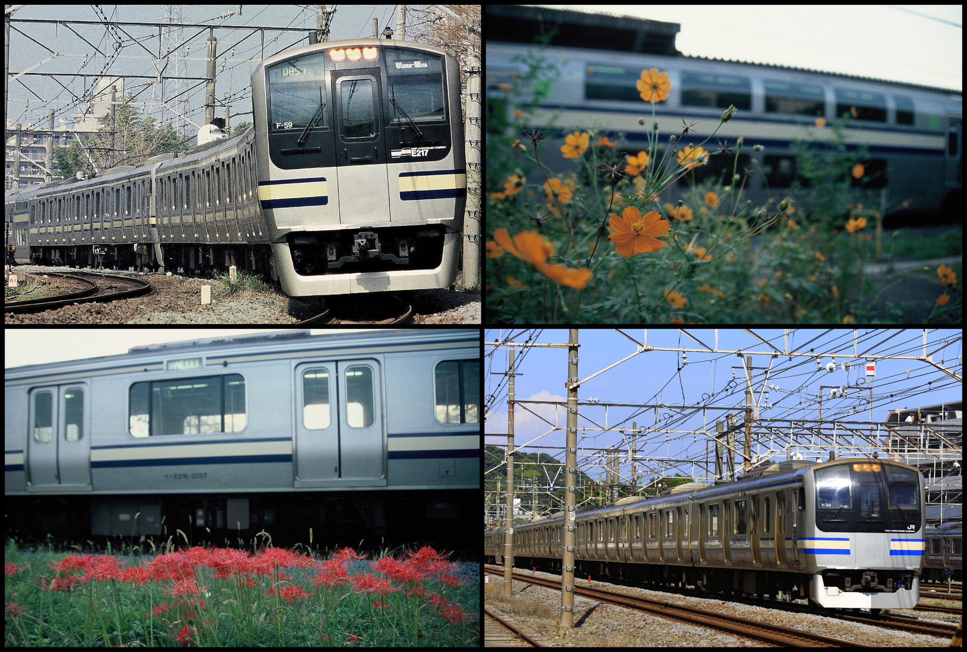 061-003 (3)