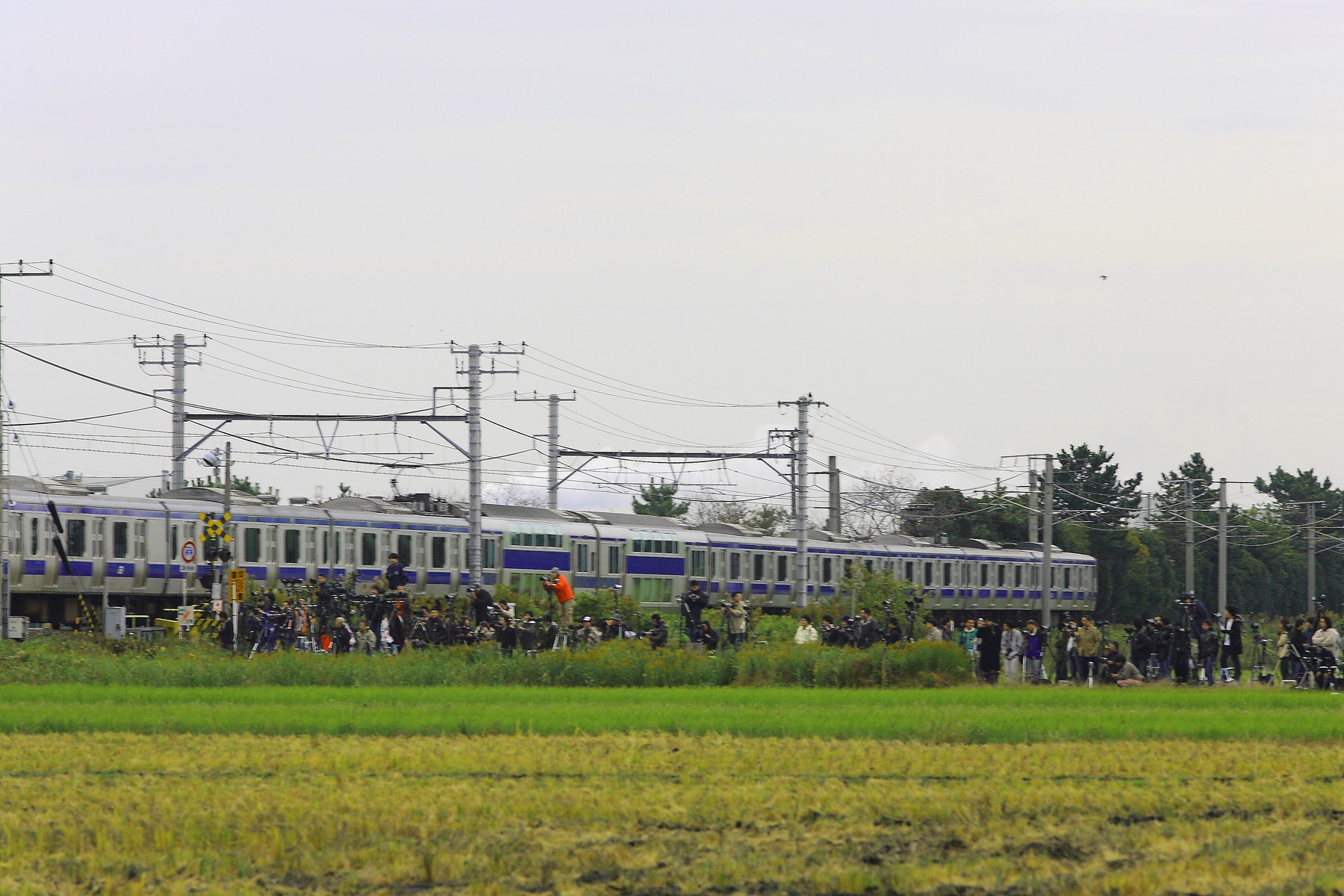 PN1H9047