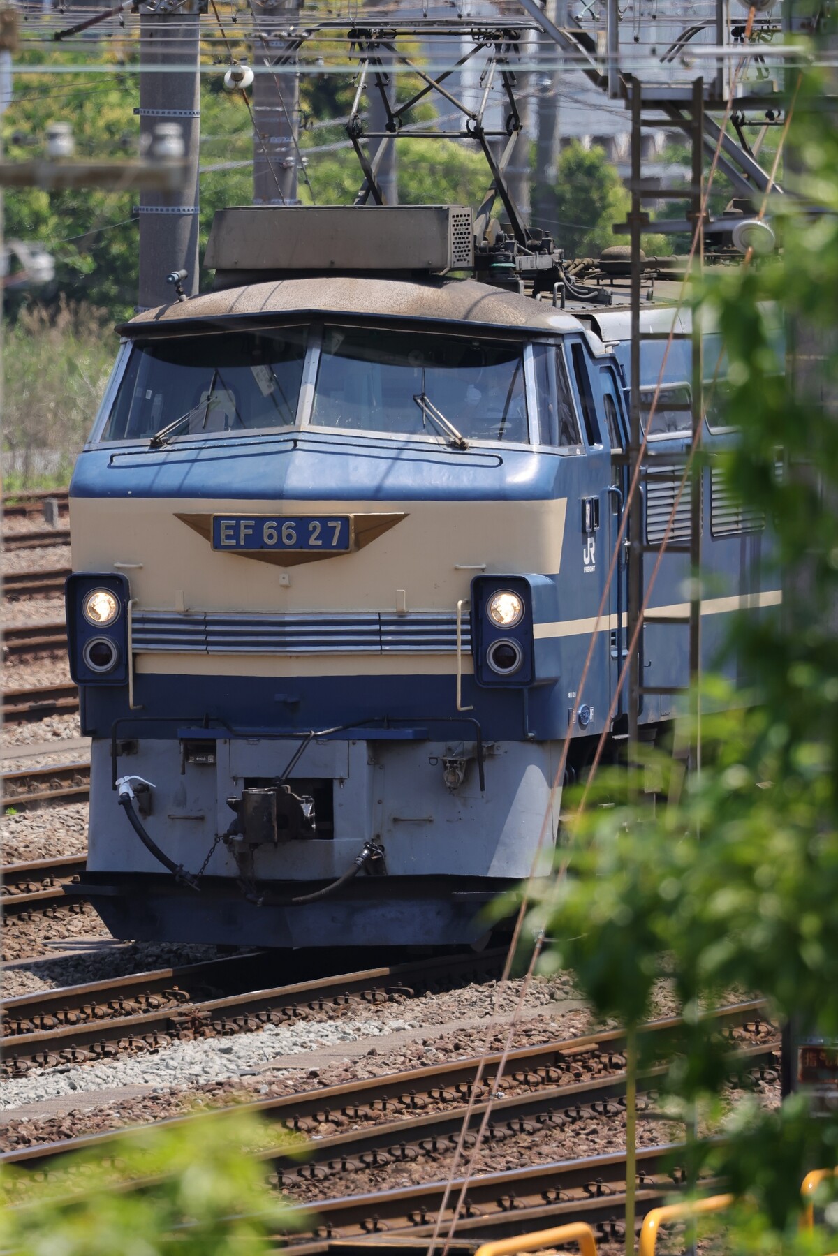 248A1043 (2)