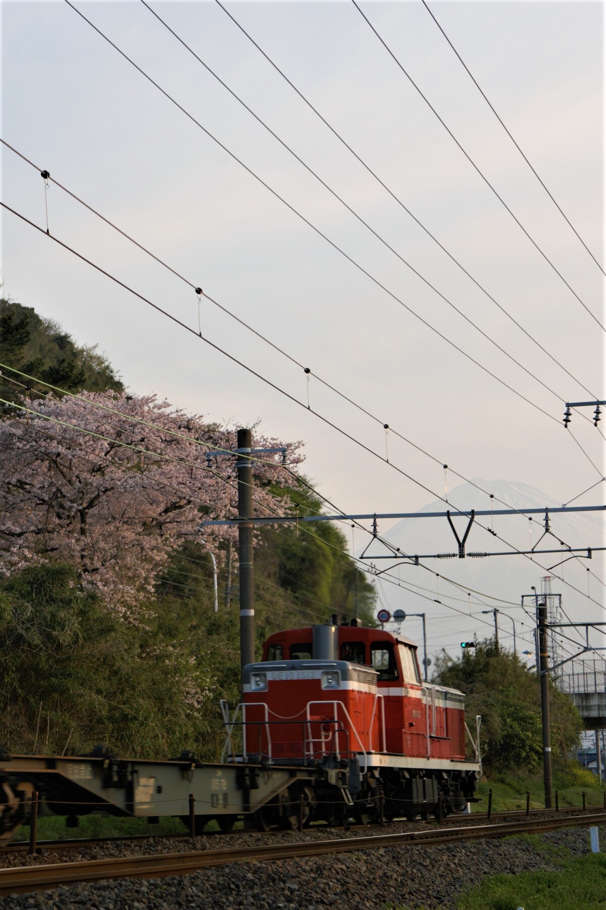 PN1H8540 (2)