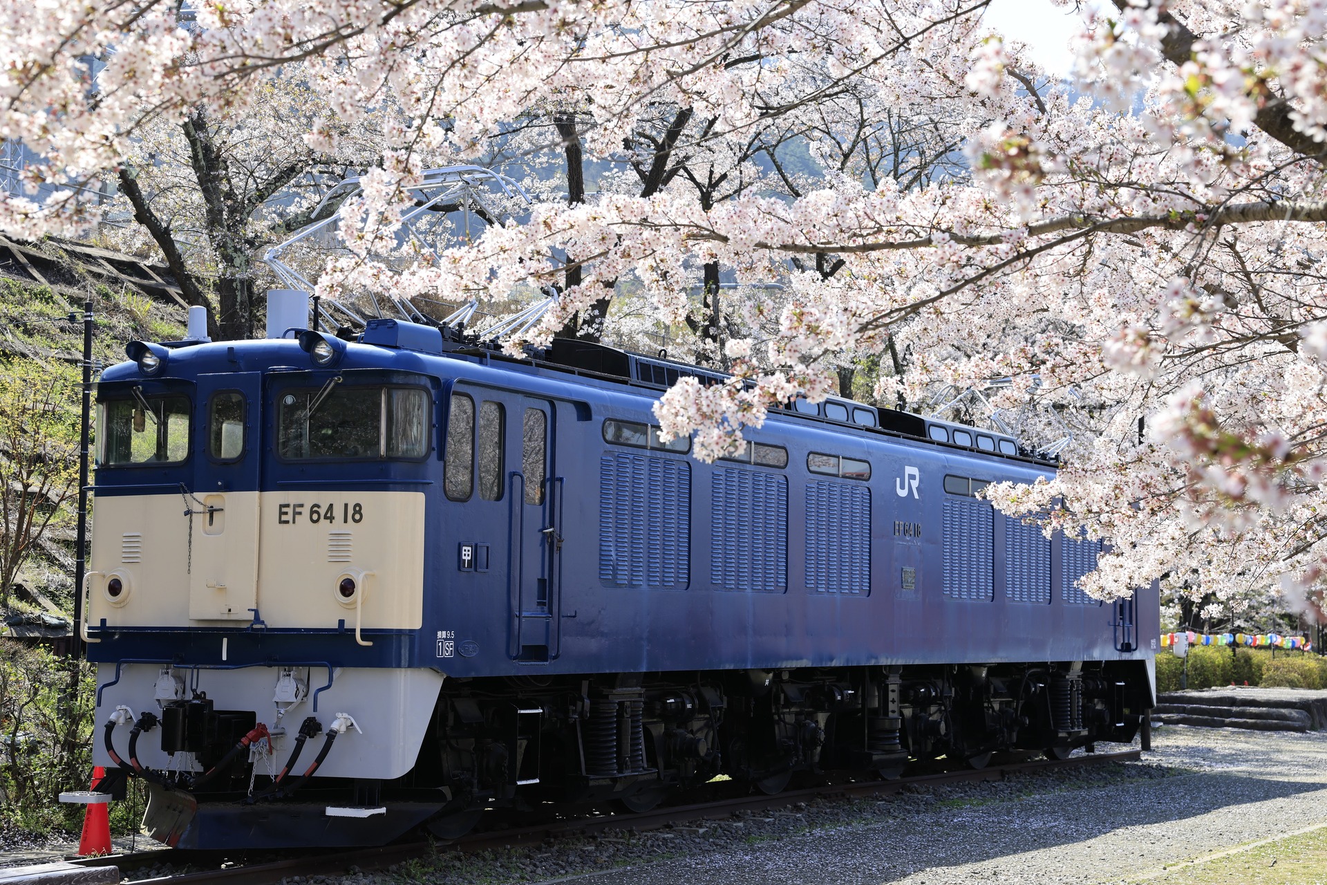 桜満開！勝沼ぶどう郷駅前公園 EF64 18も伏線回収！ : ohanefu blog