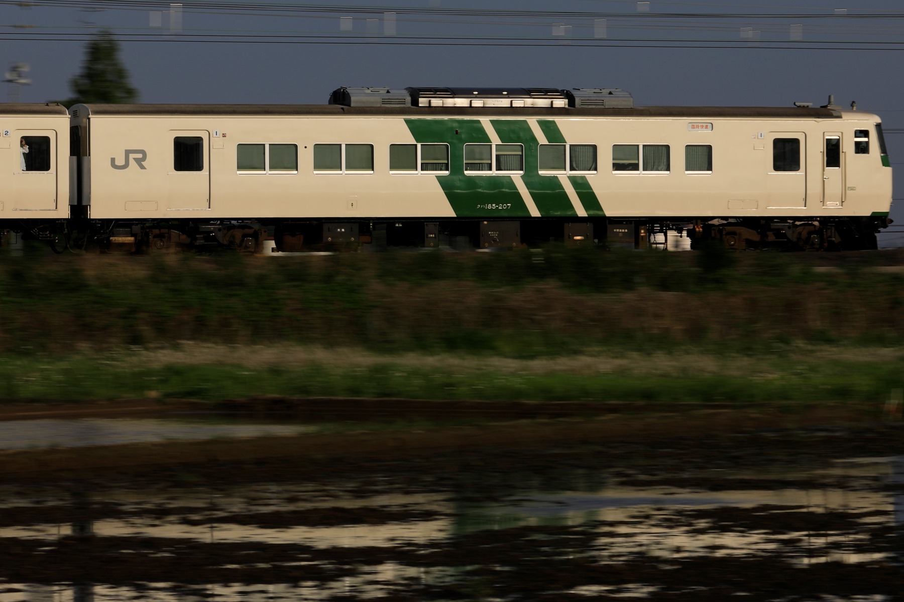 _18A3946 (2)