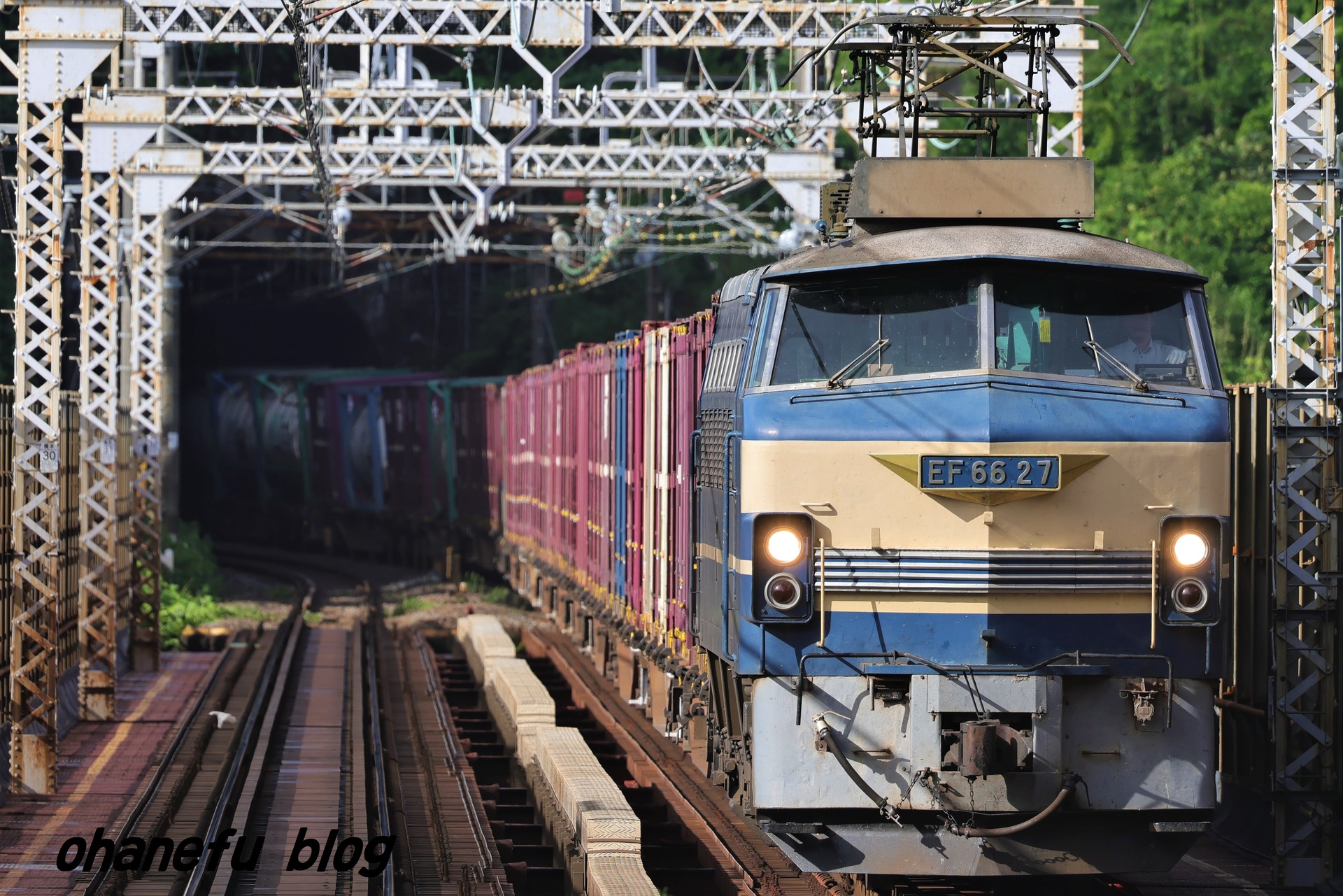 248A6693 (2-1)
