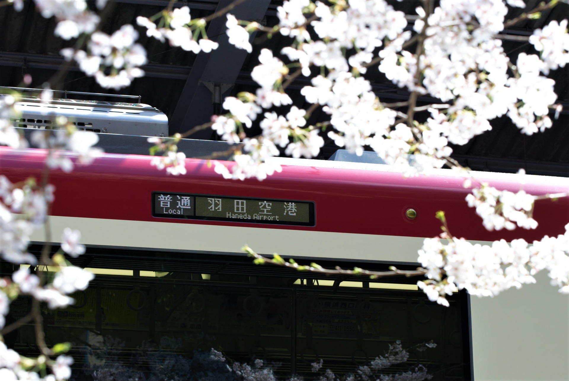 C9DA1492 (2)
