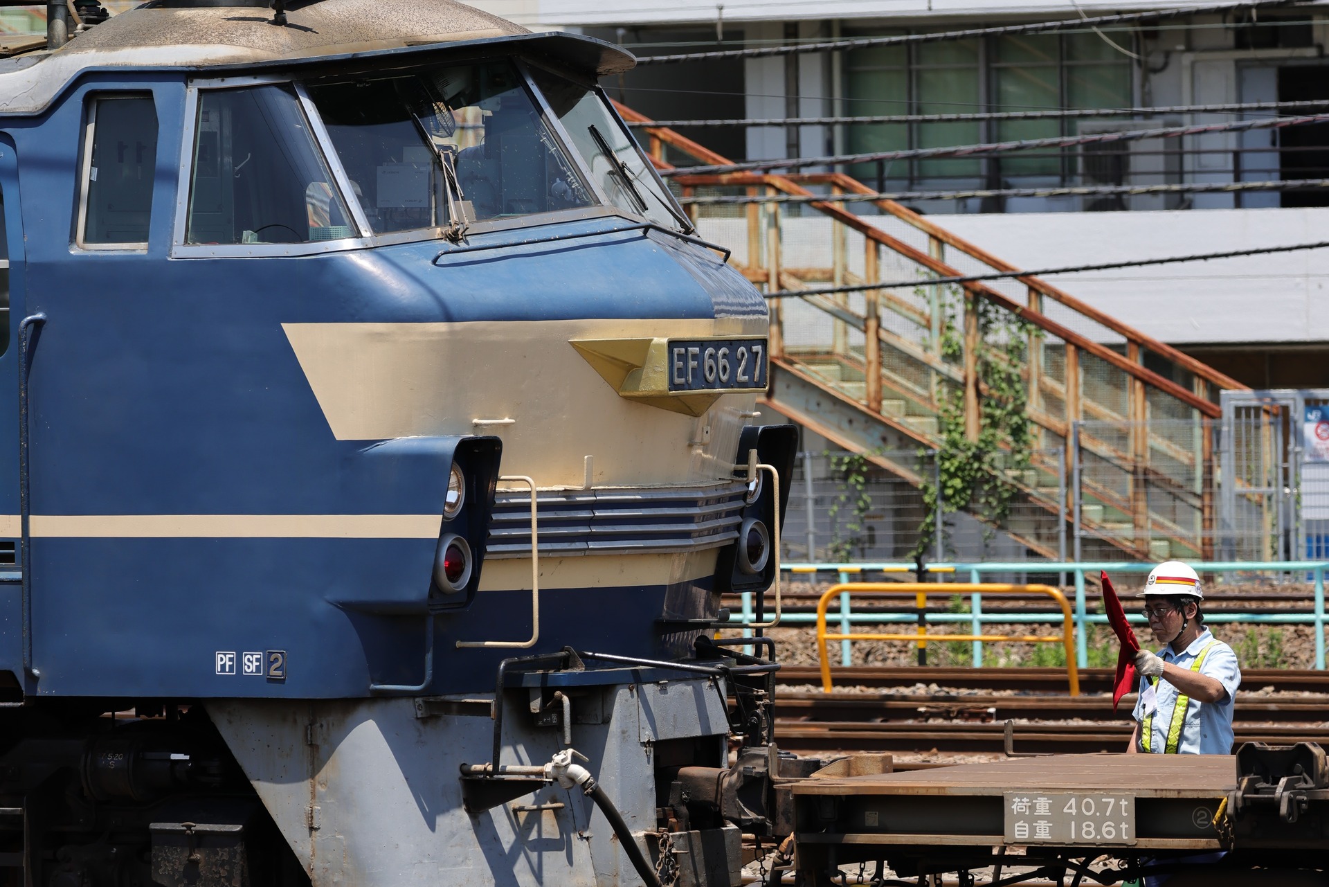 248A0772 (2)