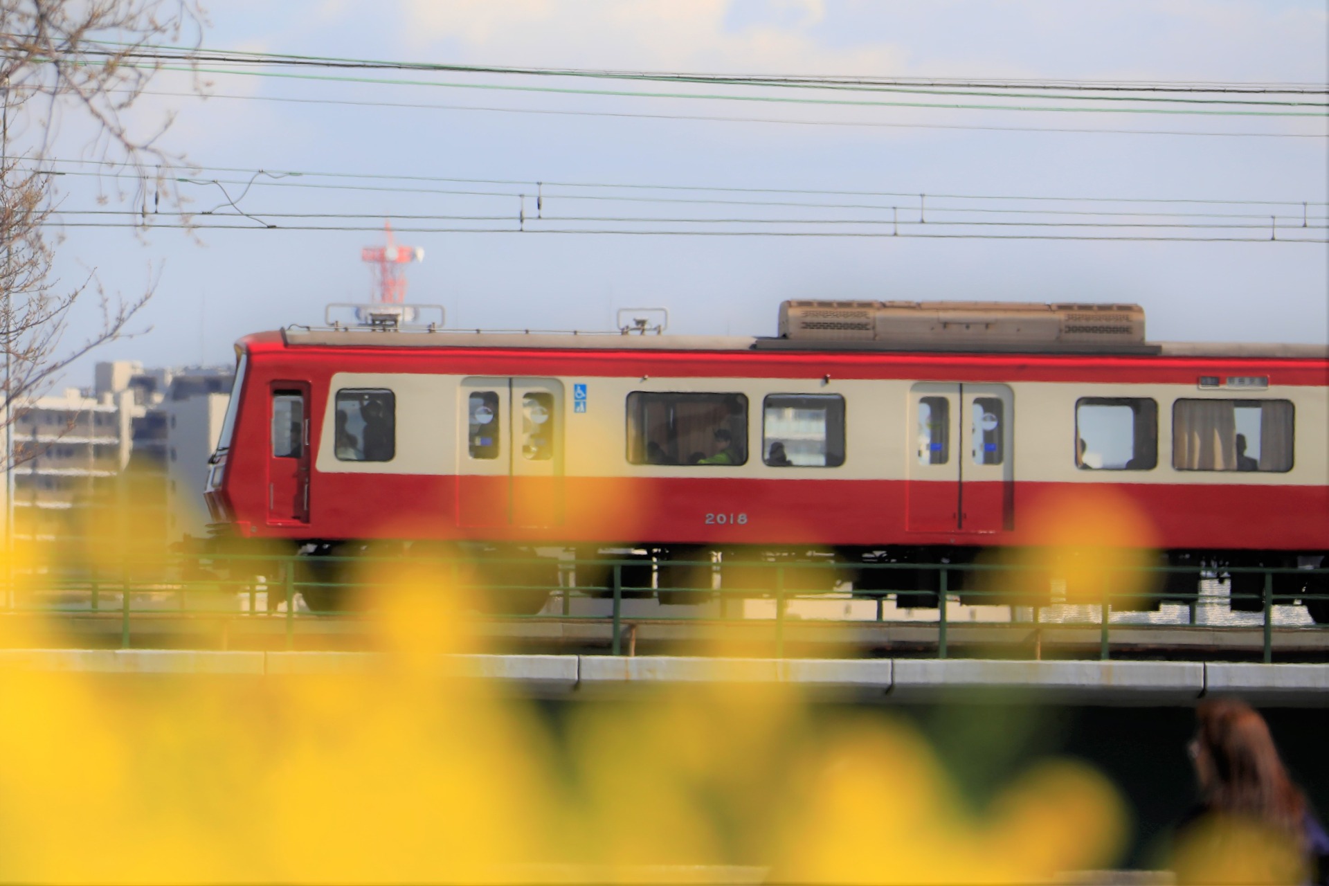 _18A2799 (2)