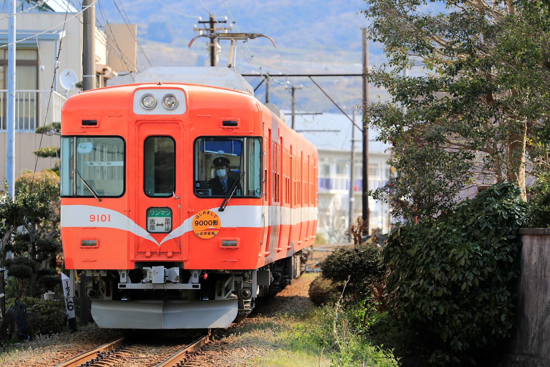 _S3I1003 (2)
