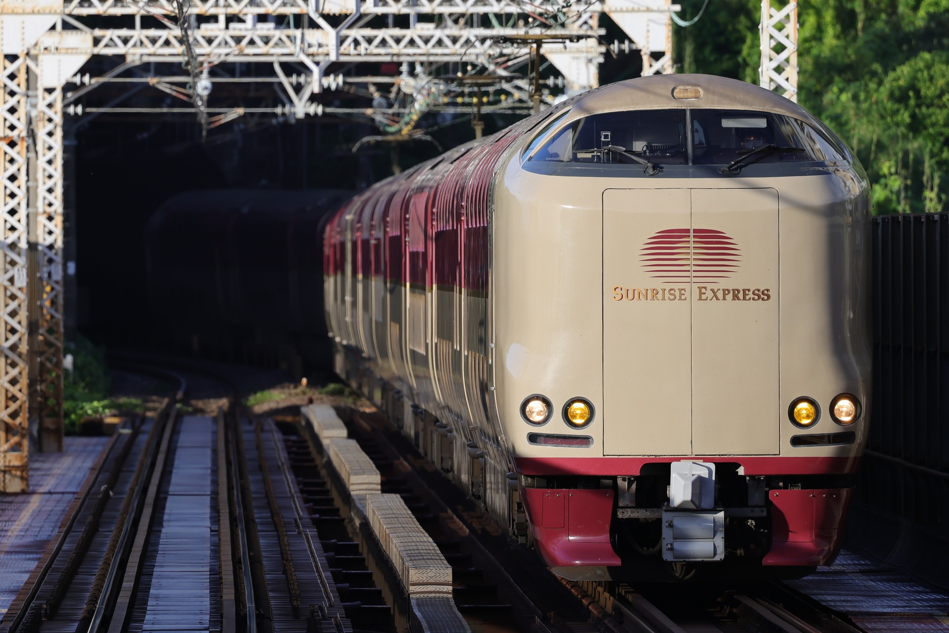248A6264 (2)