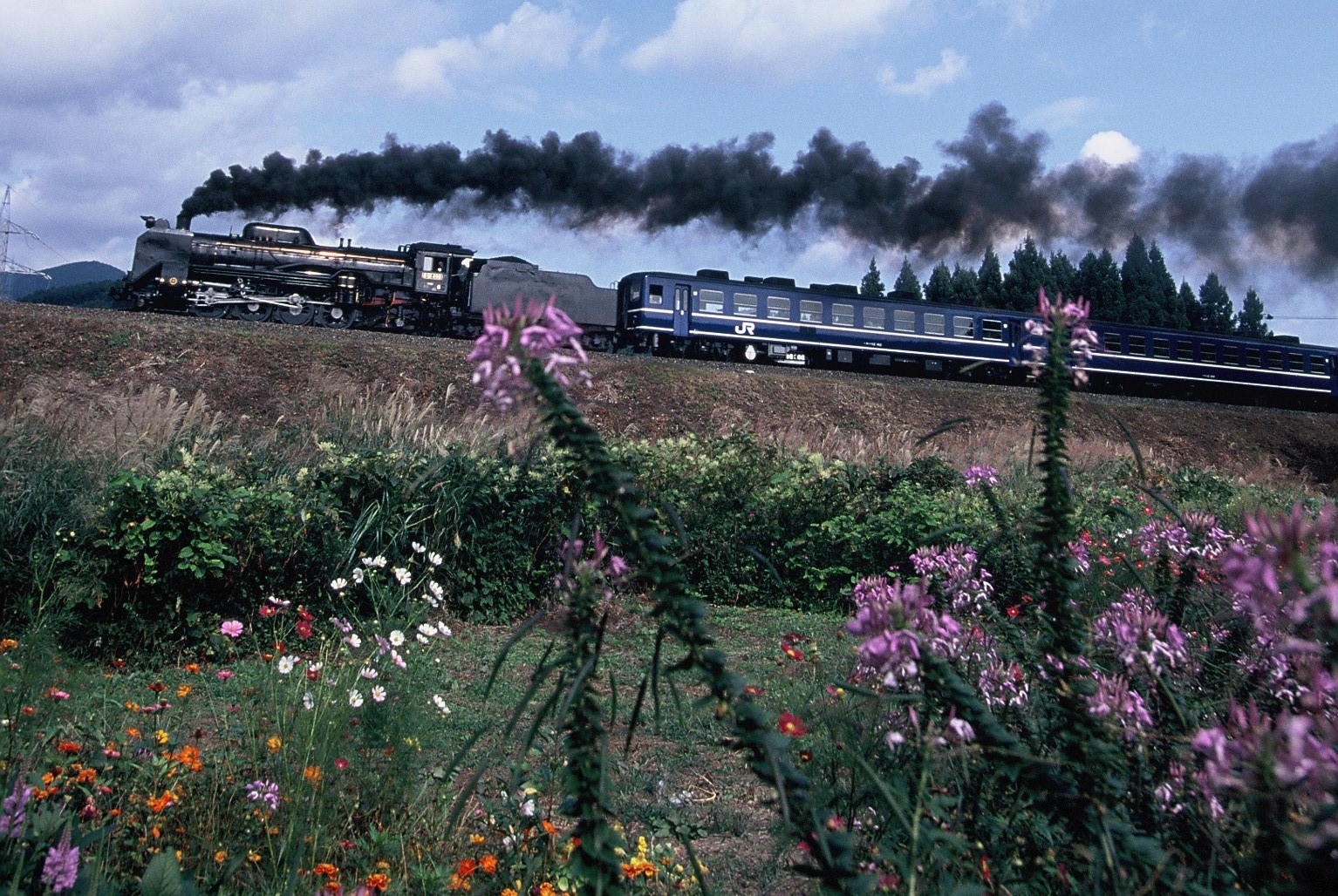 006-015 (2)