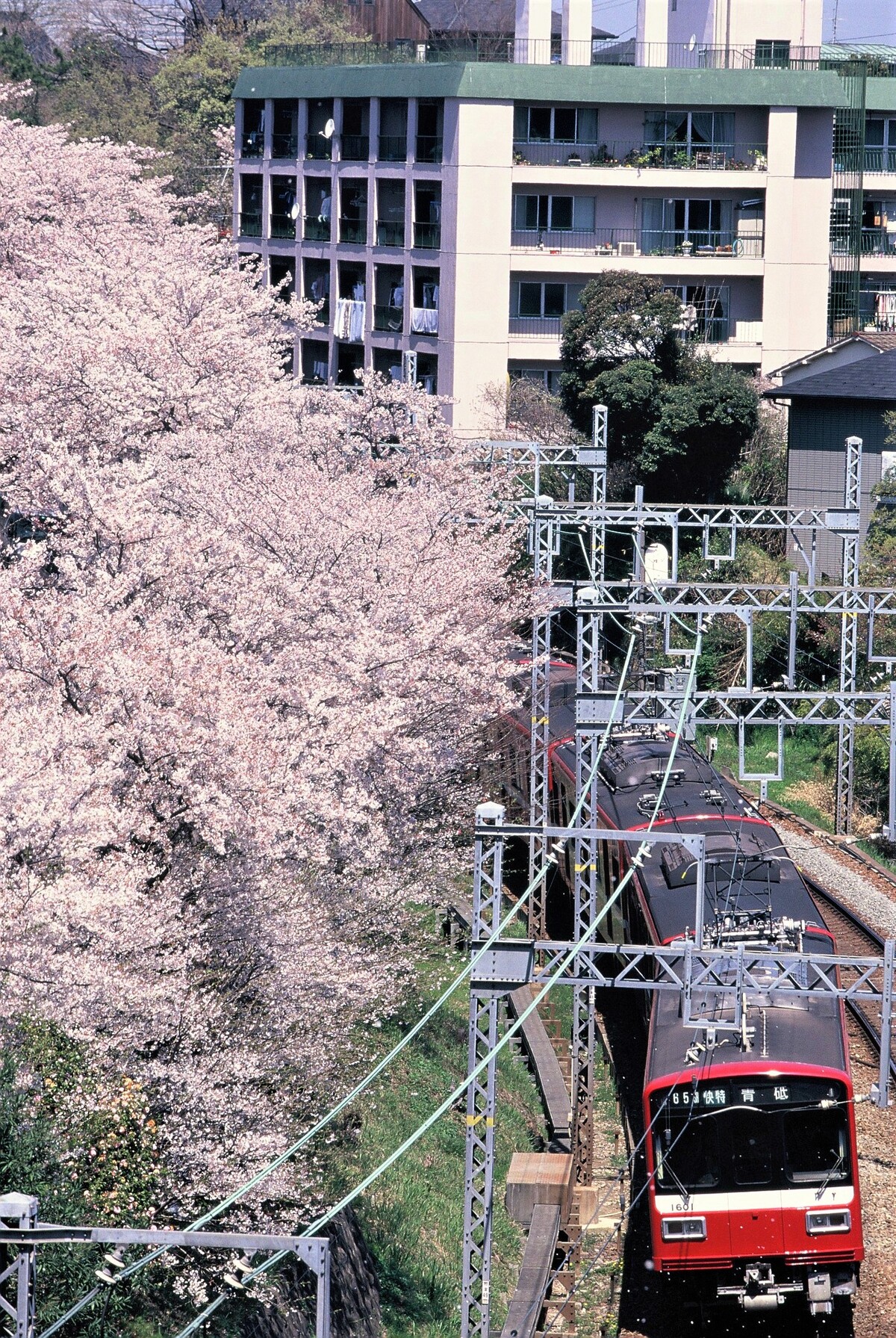 099-012 (2)