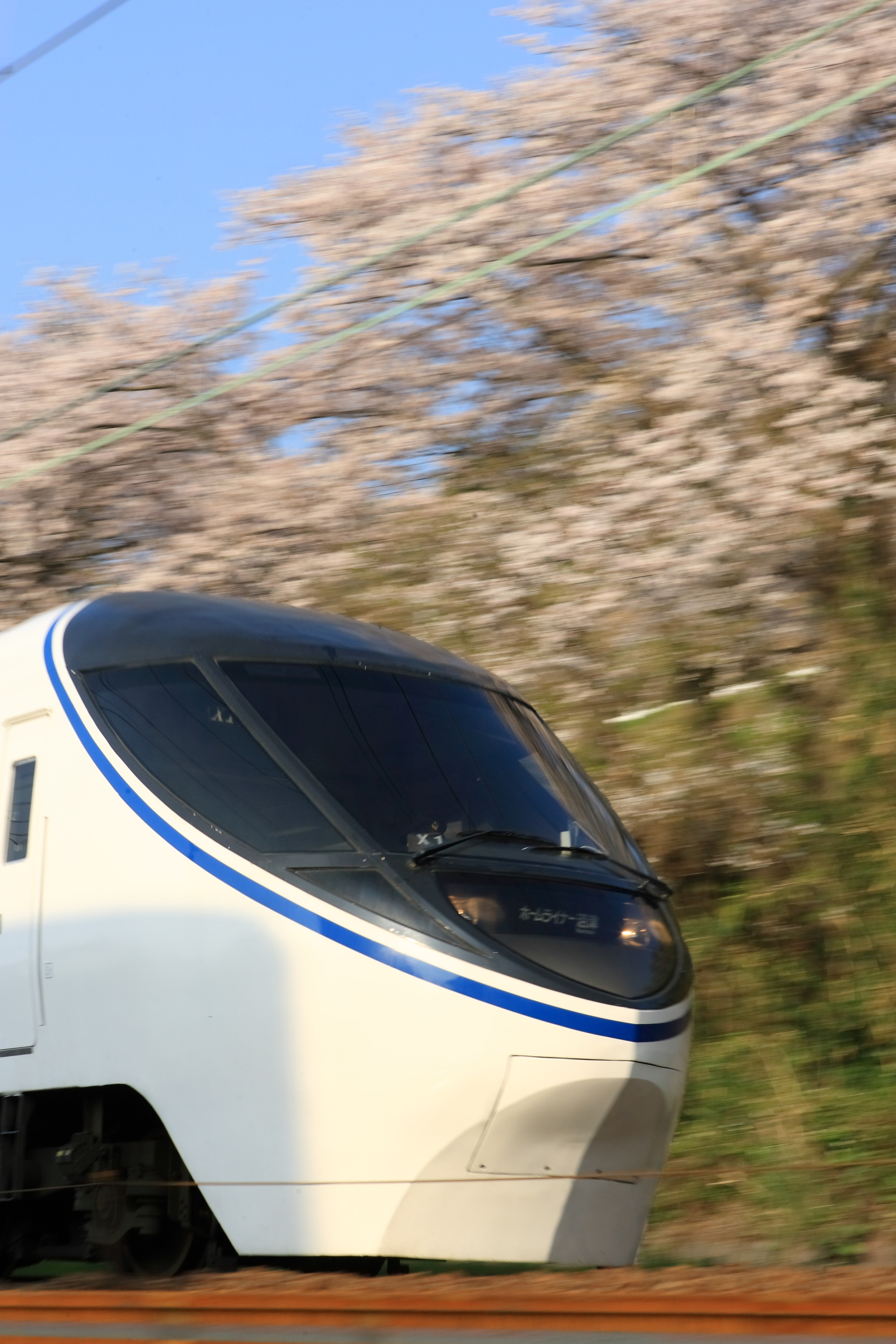 PN1H8556