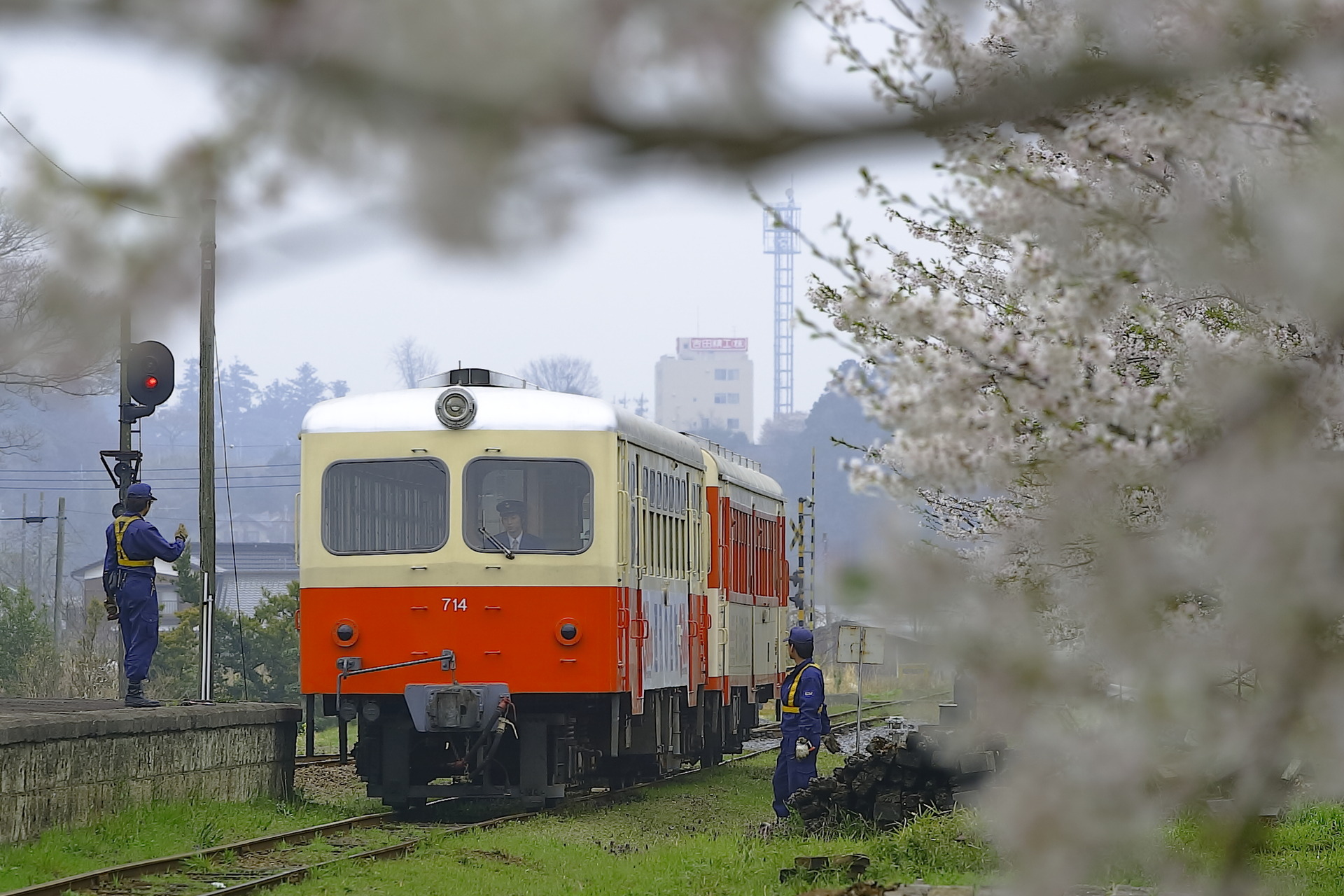 fe9d10d5-s.jpg