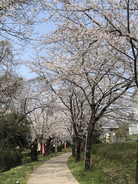 11A1D08F-F892-4F94-B21E-751269A7F83B