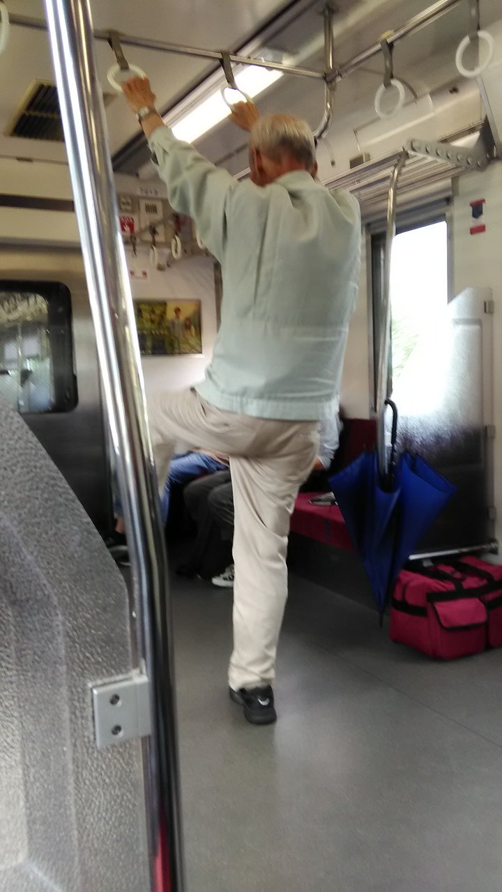 電車の中の風景 吊革体操をするおもろいおっちゃん の続き 電車日和 プランナーの独り言