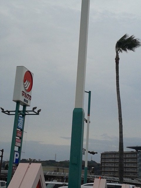 e1021d7e.jpg