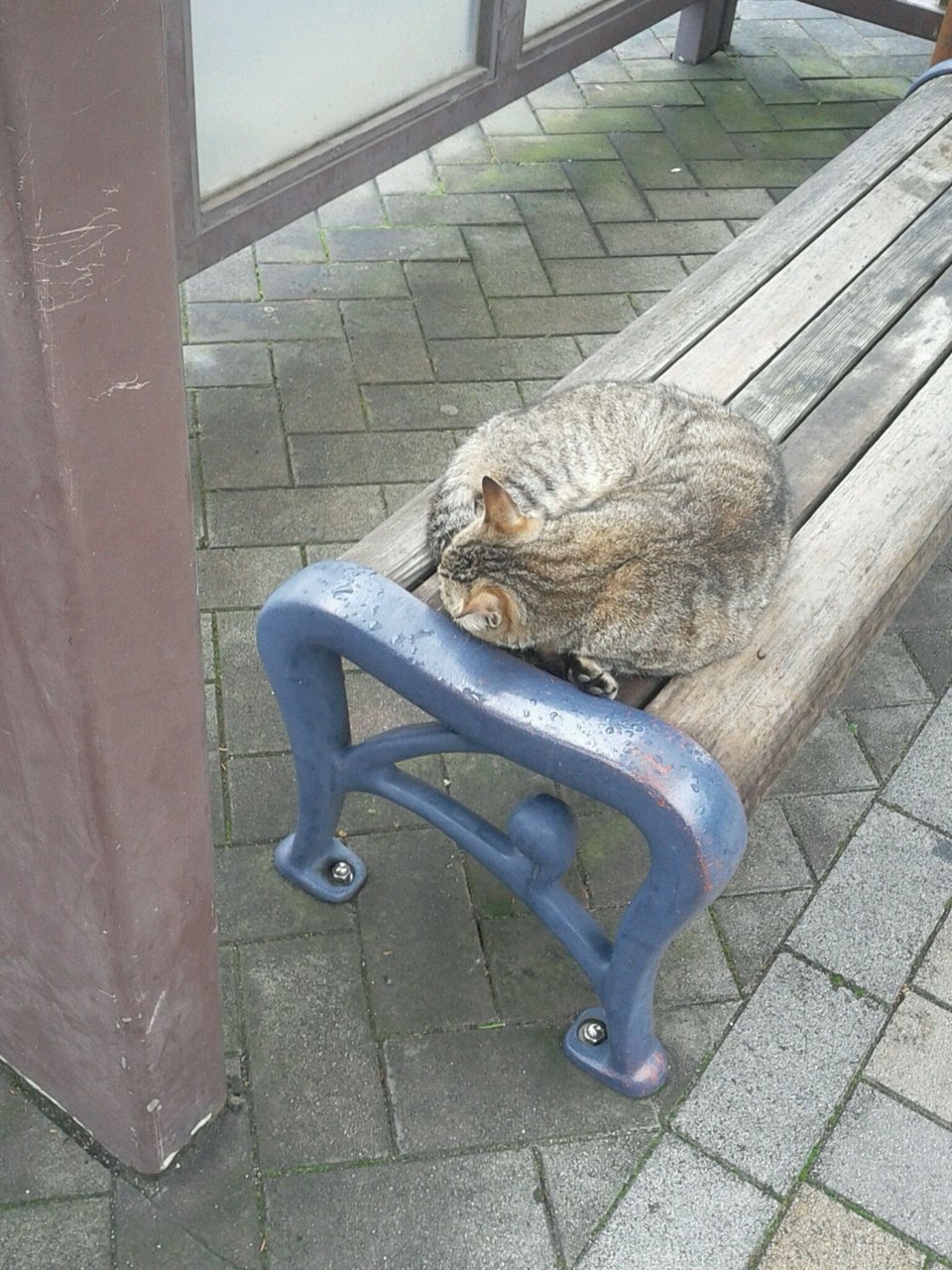 いた郎 ベンチで寝る そして阪急バスで帰る プランナーの独り言