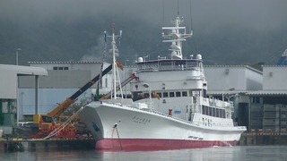 ４月１７日０８時１４分　第17徳栄丸は水揚げ