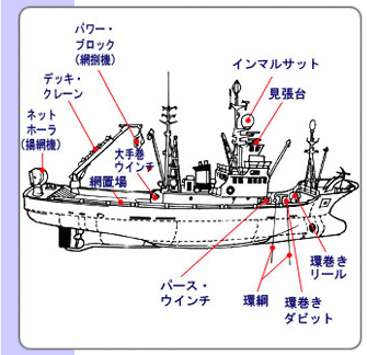 耳 最初 簡単に まき網 新 船 困惑する 祭り 番目