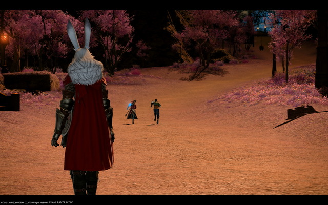 ffxiv_dx11 2020-08-13 00-00-37